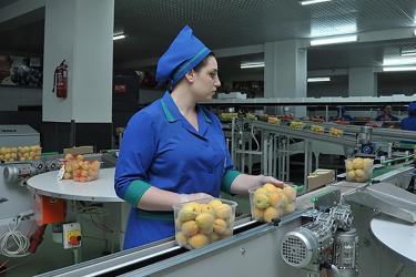 Որքա՞ն աշխատավարձ կստանանք հիմա և երեք տարի անց. պարզաբանում է ֆինանսների փոխնախարարը