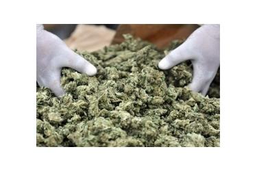 2019-ին ՀՀ-ում հաշվառված թմրամոլների թիվն աճել է 6%-ով. Առաջին տեղում Երևանն է, 2-րդ՝ Արմավիրը