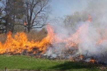 Արևիս-Թասիկ-Հացավան ավտոճանապարհին հարակից 500 հա խոտածածկ տարածքում բռնկված հրդեհը մեկուսացվել է