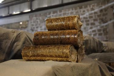 Հայաստանում արտադրվում են ծղոտե բրիկետներ, որոնք կարող են կանգնեցնել ծառահատումները