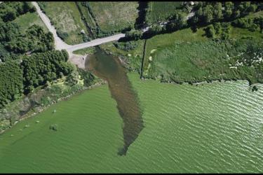 «Հայաստանի «մարգարիտը» կարող է վերածվել ճահճի». BBC-ն անդրադարձել է Սևանա լճի աղետալի վիճակի վերաբերյալ բնապահպանների ահազանգին